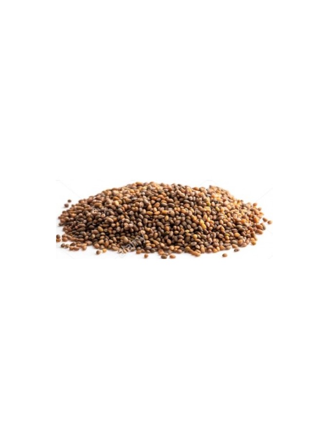Graines de Roquette Bio 135 gr