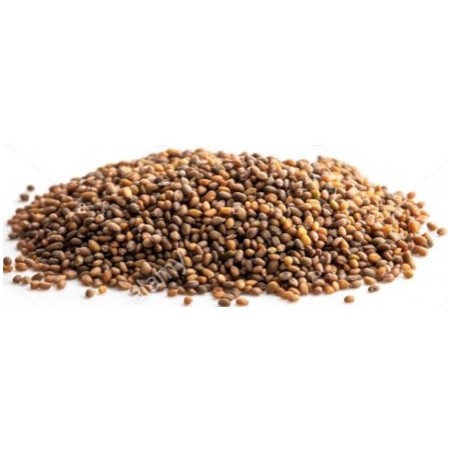Graines de Roquette Bio 135 gr