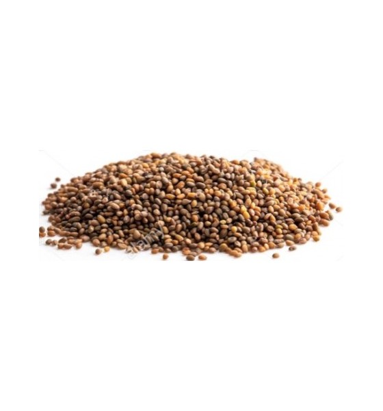 Graines de Roquette Bio 135 gr