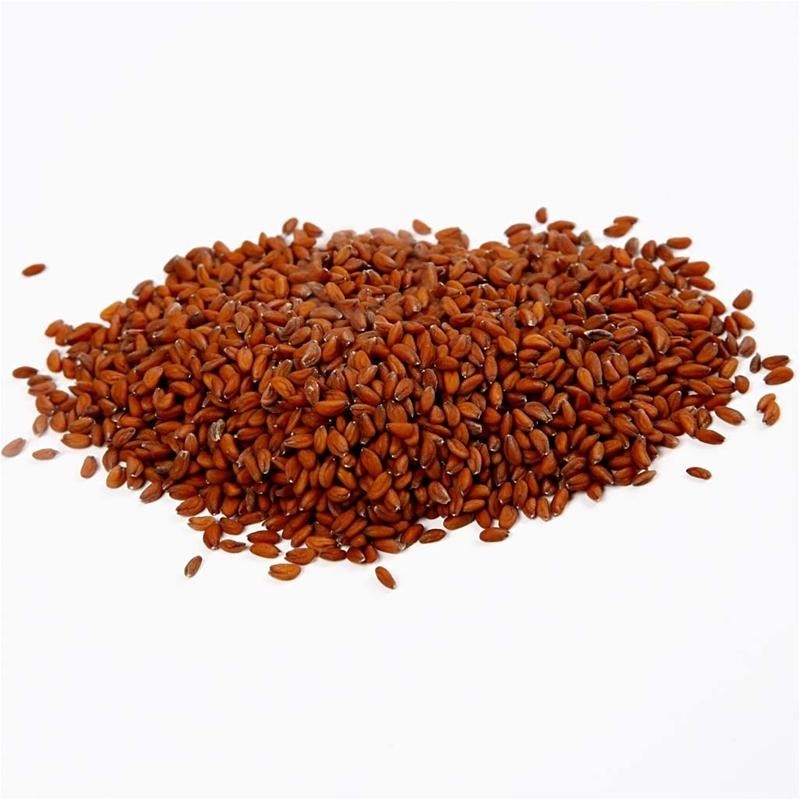 Graines de cresson 100 gr