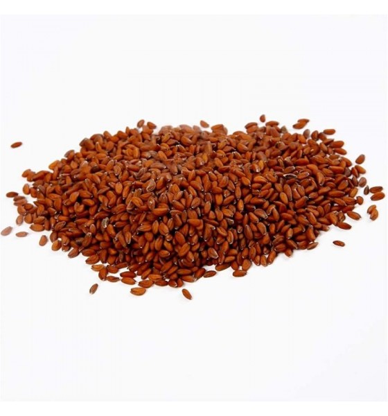 Graines de cresson 100 gr