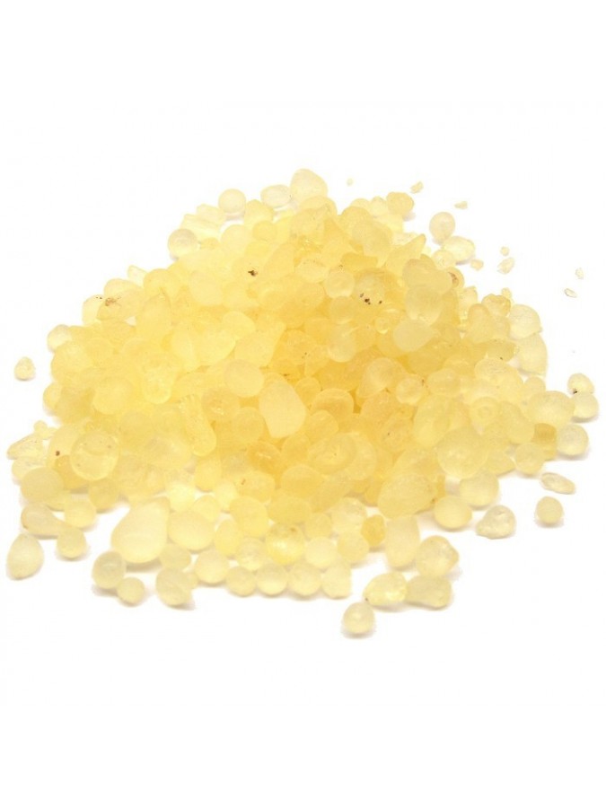 Mastic de Chios