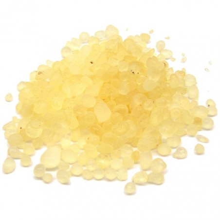 Mastic de Chios