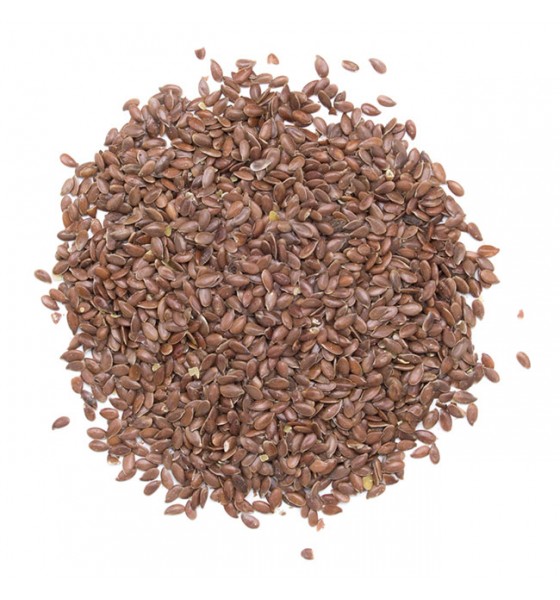Graines de lin Bio