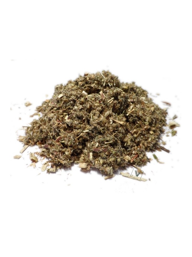 Feuilles d'Armoise - Artemisia - 100 gr الشيح