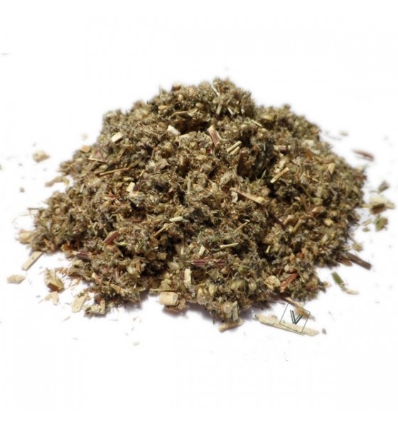 Feuilles d'Armoise - Artemisia - 100 gr الشيح
