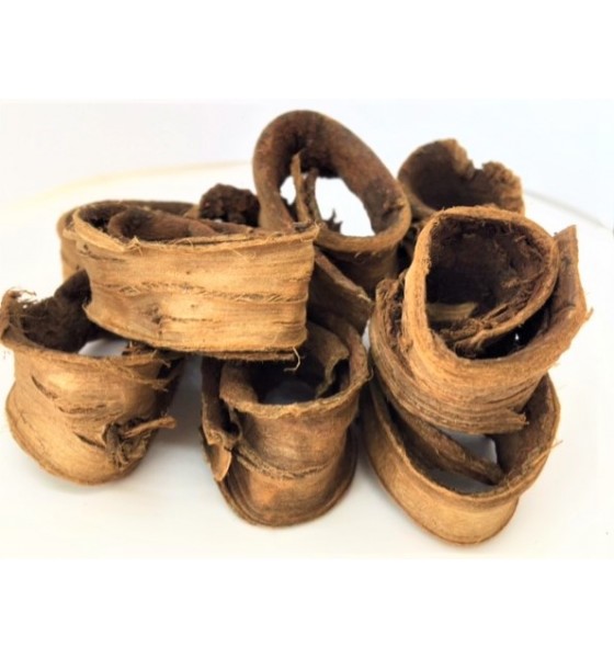 Siwak - souak soin naturel